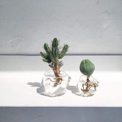 皮尔磁：机械设备的全生命周期安...